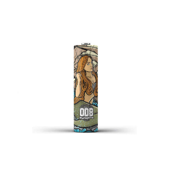18650 size battery wraps 18650 size battery wraps