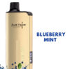 ALIBARBAR INGOT – BLUEBERRY MINT – 9000 PUFFS import placeholder for 9713