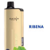 ALIBARBAR INGOT – RIBENA – 9000 PUFFSf import placeholder for 9711