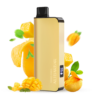 ALIBARBAR 9000 & MANGO MAGIC import placeholder for 789
