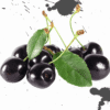 BLACK CHERRY By Luscious Vapor import placeholder for 1938107957314