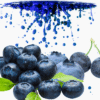 BLUEBERRY By Luscious Vapor import placeholder for 1938113429570