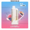 GROO Sunrise 10000 Puffs Blueberry Peach Smoothie import placeholder for 4538