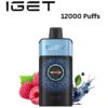 IGET ONE – BLUEBERRY RASPBERRY – 12000 PUFFS import placeholder for 18880