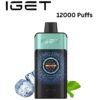IGET ONE – MOUNTANT SPRING MINT ICE – 12000 PUFFS import placeholder for 18886