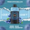 IGET One 12000 Puffs Blue Monster import placeholder for 1511