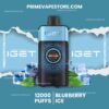 IGET One 12000 Puffs Blueberry Ice import placeholder for 1512