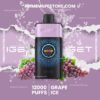 IGET One 12000 Puffs Grape Ice import placeholder for 1508