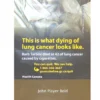 John Player Bold Regular 25pk Carton import placeholder for 453