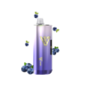 LV BAR 9000 & BRG (BLUE RAZZ) import placeholder for 719