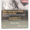 Next Xtra Regular Carton import placeholder for 424