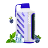 VOZOL 20000 & BLUE MOJITO import placeholder for 947