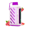 VOZOL 20000 & RASPBERRY WATERMELON import placeholder for 586