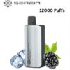 SEREIN MECH – BLACKBERRY ICE – 12000 PUFFS import placeholder for 19349