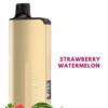 ALIBARBAR INGOT – STRAWBERRY WATERMELON – 9000 PUFFS import placeholder for 14258