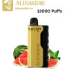 ALIBARBAR ICE ADJUST – WATERMELON – 12000 PUFFS import placeholder for 19728