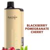ALIBARBAR INGOT – BLACKBERRY POMEGRANATE CHERRY – 9000 PUFFS import placeholder for 18404