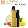 ALIBARBAR ICE ADJUST – GRAPEFRUIT GUAVA LEMON – 12000 PUFFS import placeholder for 19740