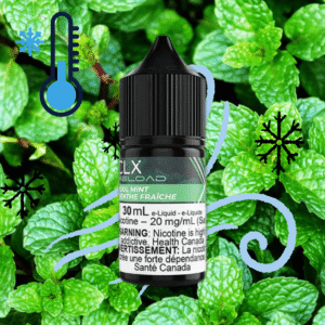 cool mint salt by clx reload e liquid