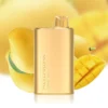 Alibarbar Rich 8000 Puffs – Mango Magic import placeholder for 45655
