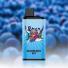 IGET Bar Pro 10000 Puffs Blueberry Ice import placeholder for 1487