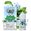 Mr. Fog Salt-Cool Mint-30ml import placeholder for 7223113252927