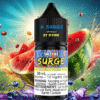 Surge E-Liquid-Watermelon Blueberry Zest Salt 30ml import placeholder for 8074273030207