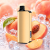 ALIBARBAR INGOT 9000 Puffs Peach Ice 50099d82 ebca 4da7 b117 5f5ce1f22b15.png