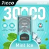PICCO BREAK 30K Mint Ice picco break 30k 17 600x600 1.webp